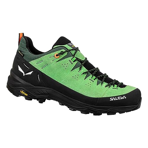 Salewa Herren Alp Trainer 2 GTX Multisportschuhe Schwarz/Grün 8 von Salewa