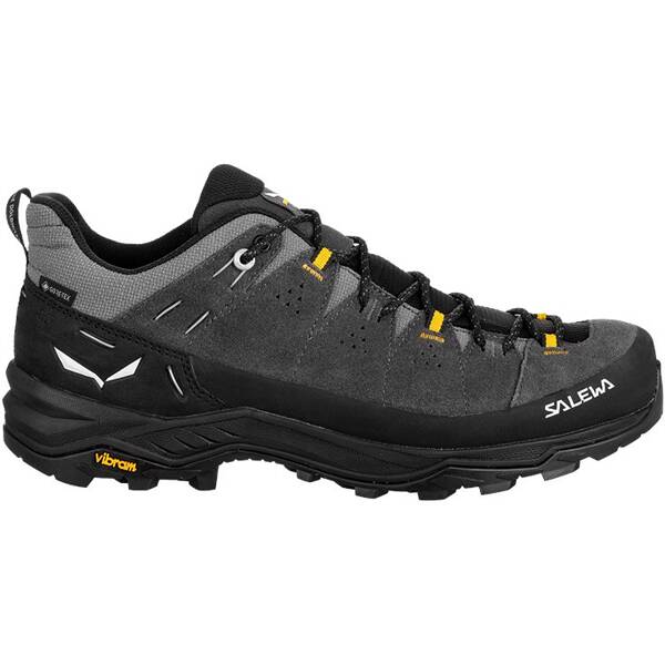 SALEWA Herren Trekkinghalbschuhe ALP TRAINER 2 GTX M von Salewa