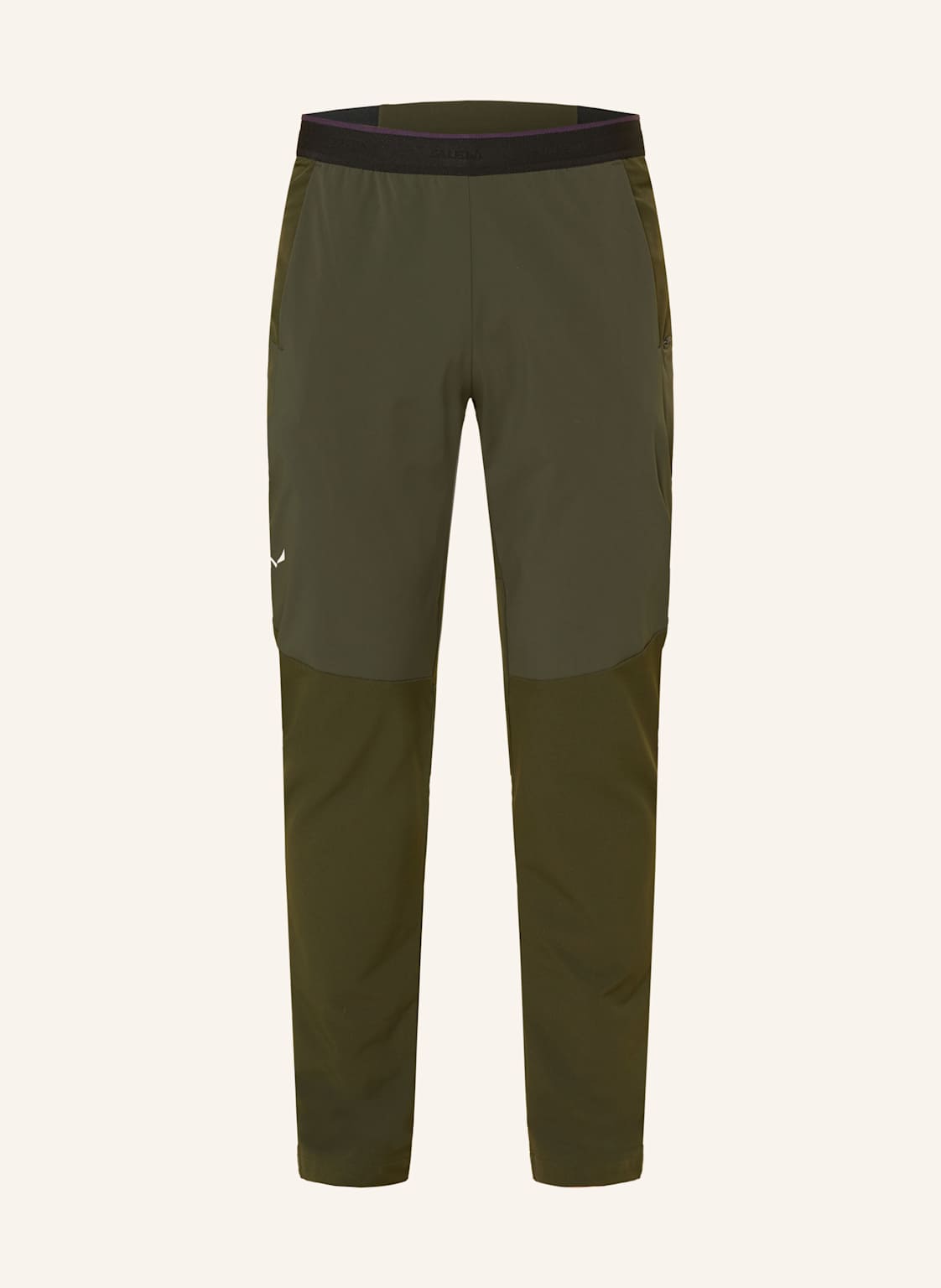 Salewa Softshell-Hose Pedroc Stormwall Winter gruen von Salewa