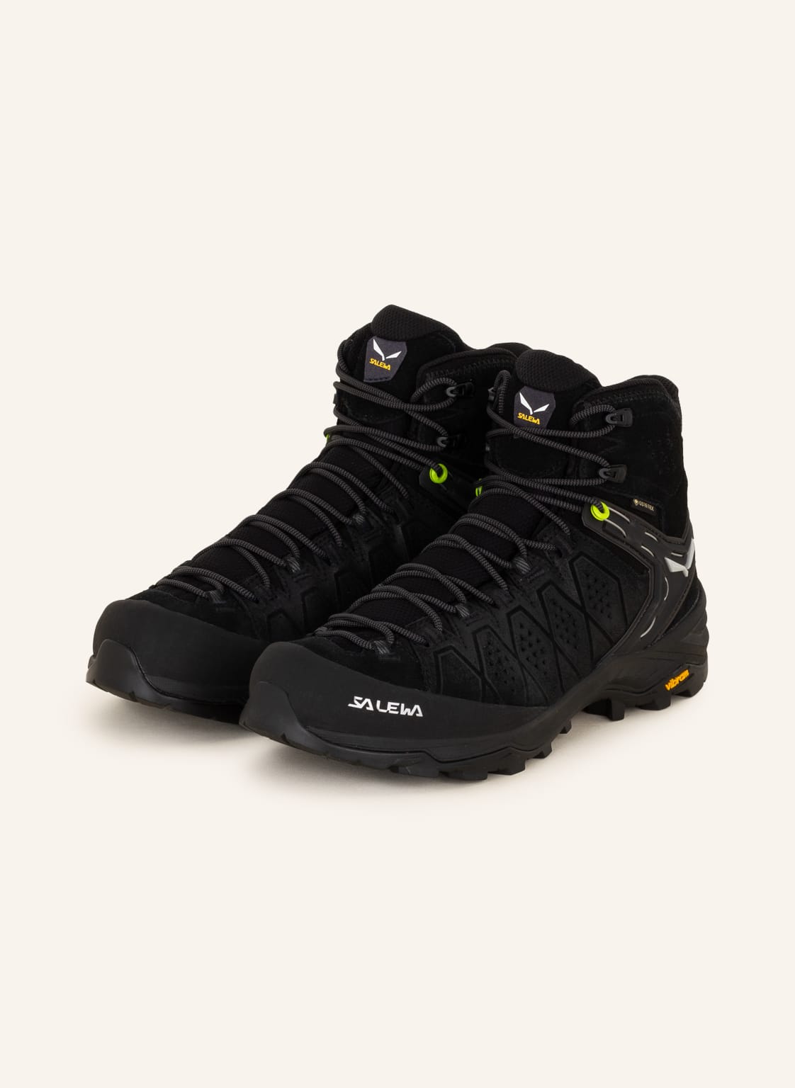 Salewa Trekkingschuhe Alp Trainer 2 Mid Gtx schwarz von Salewa