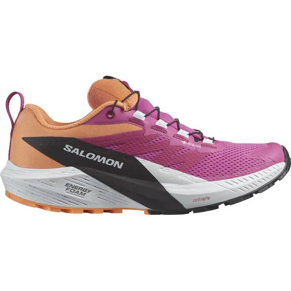 SALOMON Damen Trailrunningschuhe SHOES SENSE RIDE 5 GTX W Rose V/Wht/Bpar SALOMON Damen Trailrunningschuhe SHOES SENSE RIDE 5 GTX W Rose V/Wht/Bpar von Salomon