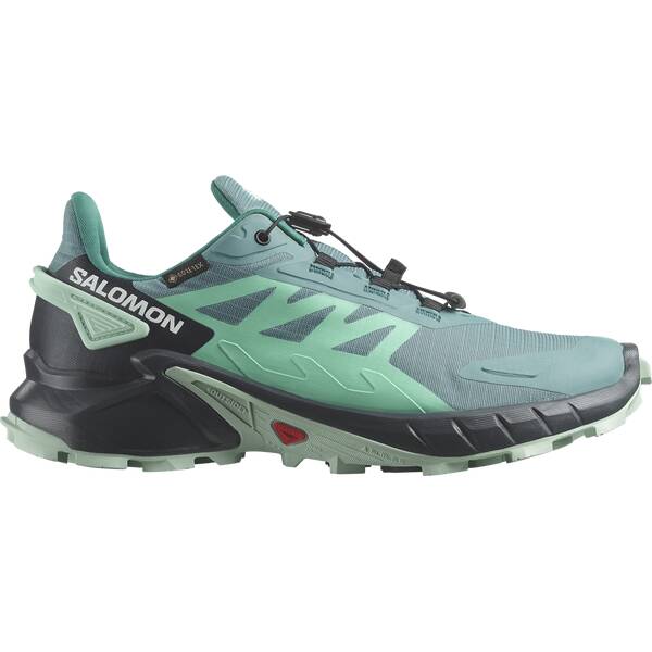 SALOMON Damen Trailrunningschuhe SHOES SUPERCROSS 4 GTX W Dustur/Indink/B von Salomon