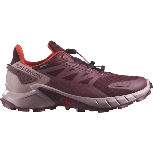 SALOMON Damen Trailrunningschuhe SHOES SUPERCROSS 4 GTX W Tawnyp/Deauvi/C von Salomon