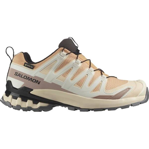 SALOMON Damen Trailrunningschuhe SHOES XA PRO 3D V9 GTX W Hzlnut/Tender/B von Salomon