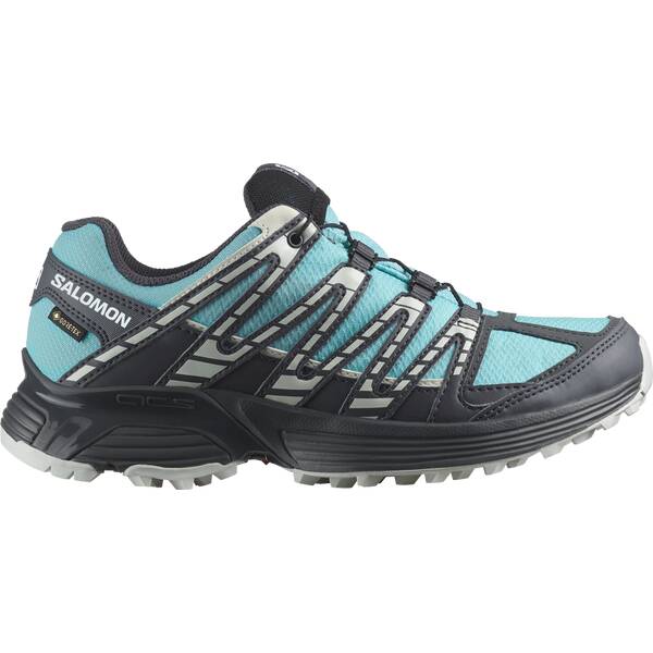 SALOMON Damen Trailrunningschuhe SHOES XT RECKON GTX W Marine Blue/Ebony von Salomon