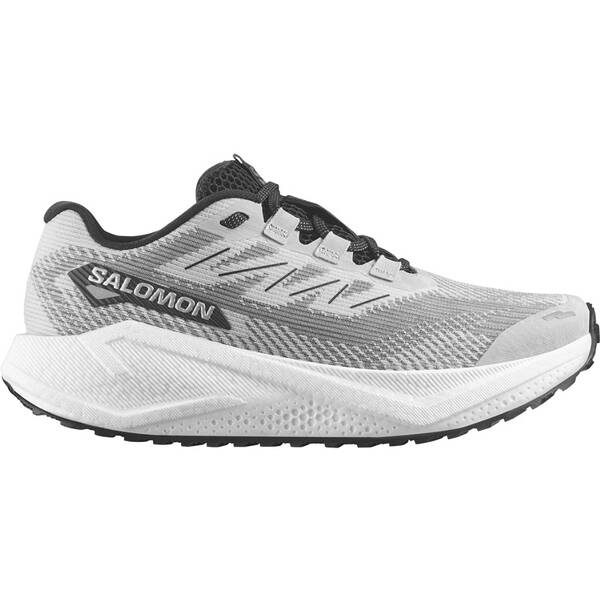 SALOMON Herren Laufschuhe SHOES AERO BLAZE 3 GRVL LunRoc/Wht/Black von Salomon