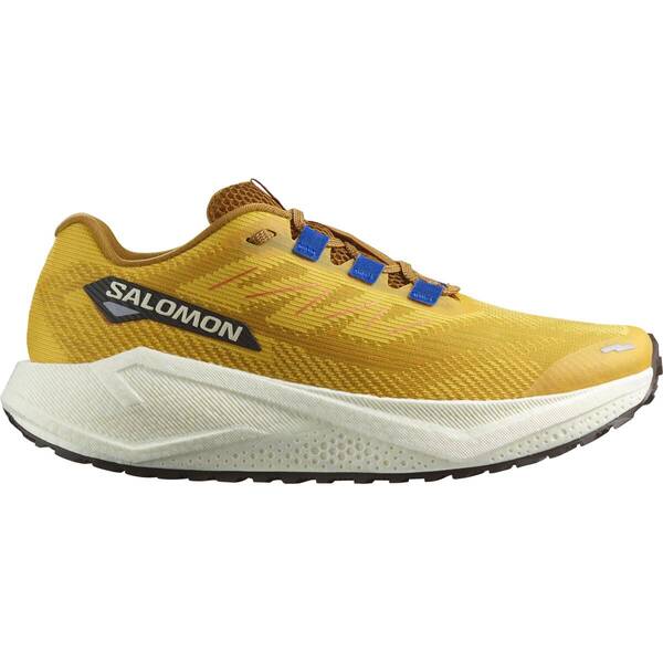 SALOMON Herren Laufschuhe SHOES AERO BLAZE 3 GRVL Spicym/Vanila/Na von Salomon