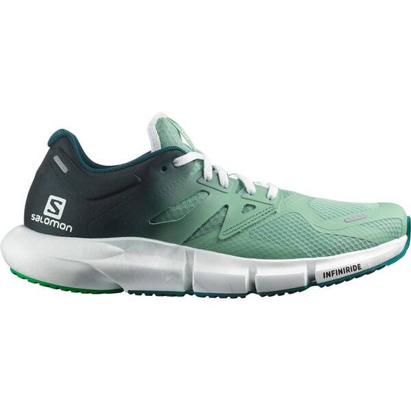 SALOMON Herren Laufschuhe SHOES PREDICT2 Granite Green/Ponder/Brgt von Salomon