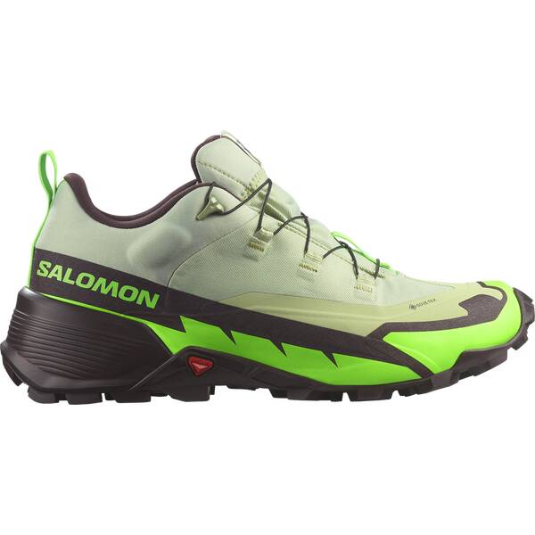 SALOMON Herren Multifunktionsschuhe SHOES CROSS HIKE GTX 2 Desert/Grgeck/Cho von Salomon