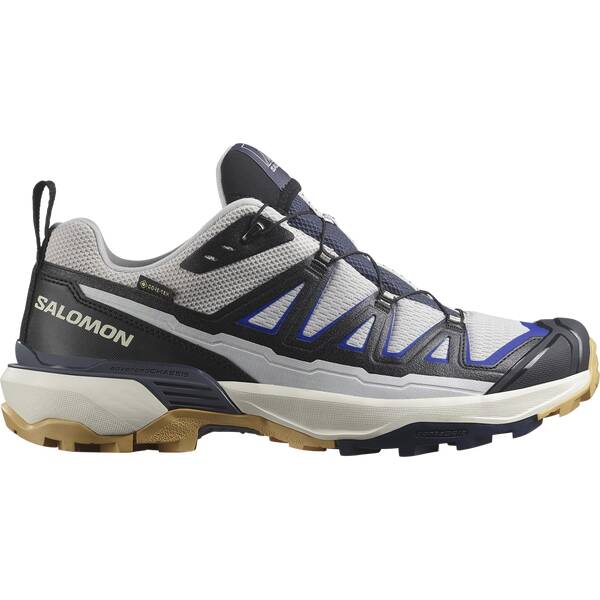 SALOMON Herren Multifunktionsschuhe SHOES X ULTRA 360 EDGE GTX Gryvio/Black von Salomon