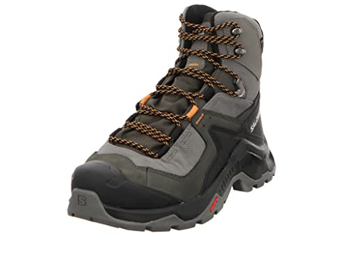 SALOMON Herren Shoes Quest Element GTX Bootsschuh, Pewter Beluga Buckskin, 45 1/3 EU von Salomon