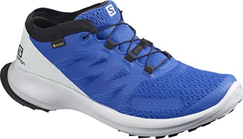 SALOMON Herren Shoes Sense Flow GTX Laufschuhe, Blau Eisblau Perlblau Schwarz, 40 2/3 EU von Salomon