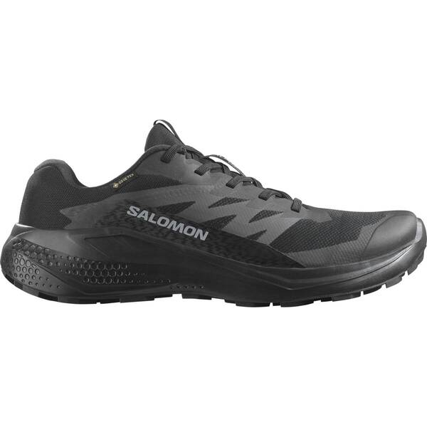 SALOMON Herren Trailrunningschuhe SHOES ALPHAGLIDE GTX Black/Asphalt/Black von Salomon