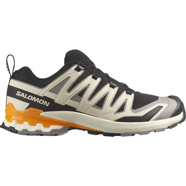 SALOMON Herren Trailrunningschuhe SHOES XA PRO 3D V9 Black/Gull/Turmeric von Salomon