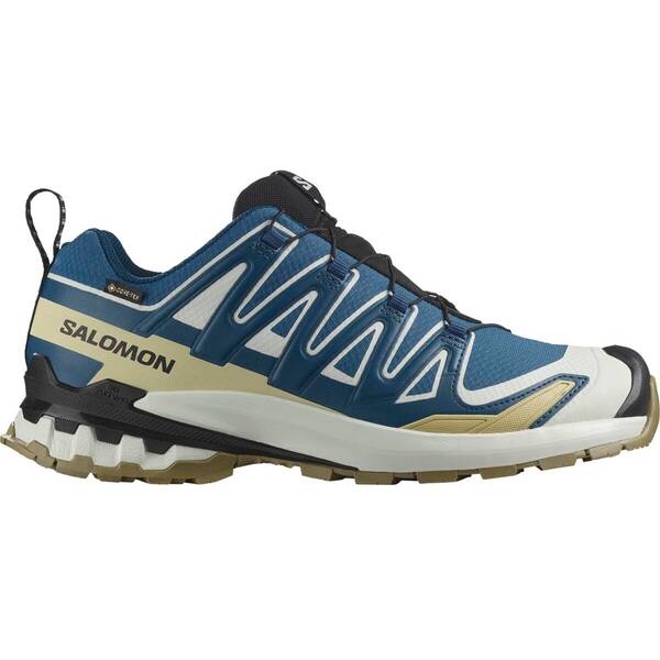 SALOMON Herren Trailrunningschuhe SHOES XA PRO 3D V9 GTX Dark B/Icicle/Alo von Salomon