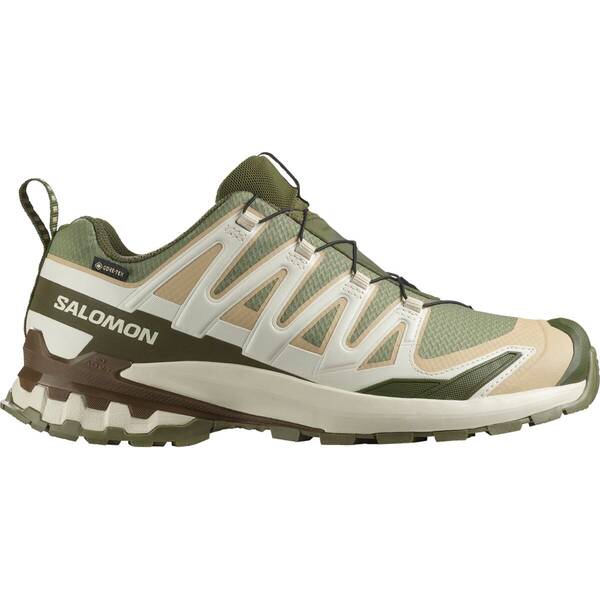 SALOMON Herren Trailrunningschuhe SHOES XA PRO 3D V9 GTX Dlicgr/Sfari/Dkea von Salomon
