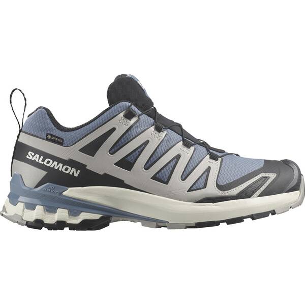 SALOMON Herren Trailrunningschuhe SHOES XA PRO 3D V9 GTX Flint/Black/Ghost von Salomon