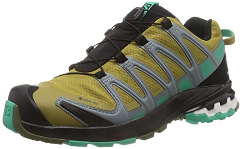 SALOMON Herren Xa Pro 3D V8 GTX Shoes Laufschuhe, Grün (Green Moss Mint Leaf Trooper), 44 EU von Salomon