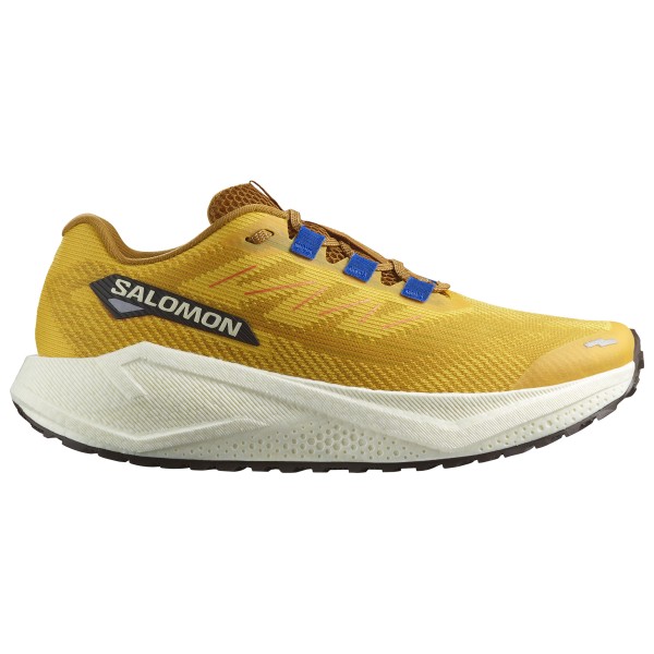 Salomon - Aero Blaze 3 Grvl - Runningschuhe Gr 47 1/3 beige von Salomon