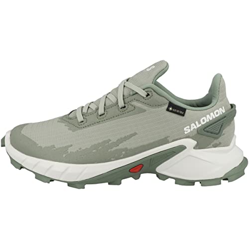 SALOMON Damen Schuhe Alphacross 4 GTX W Traillaufschuhe, Mehrfarbig (Desert Salbei White Lorbeer Wreath), 42 2/3 EU von Salomon