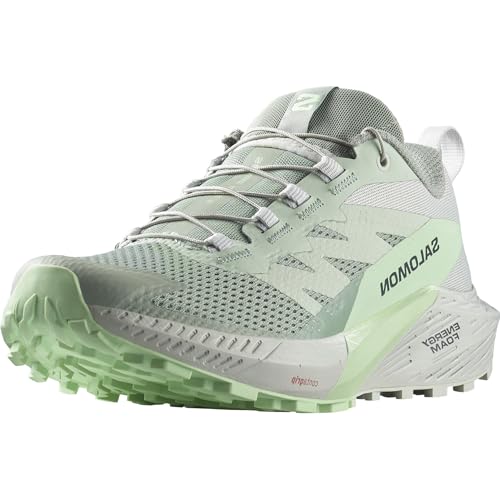 Salomon Damen Sense Ride Trailrunning-Schuhe, Lily Pad Metal Green Ash, 42 EU von Salomon