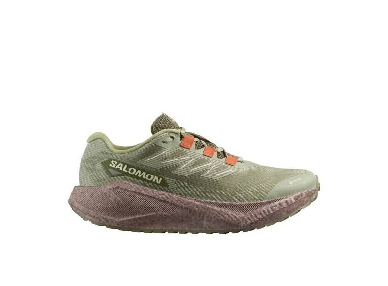 Salomon Salomon Aero Blaze 3 GRVL GTX Tea Iron Laufschuh von Salomon