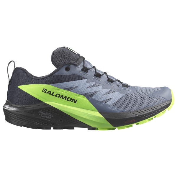 Salomon - Sense Ride 5 GTX - Trailrunningschuhe Gr 40 grau von Salomon