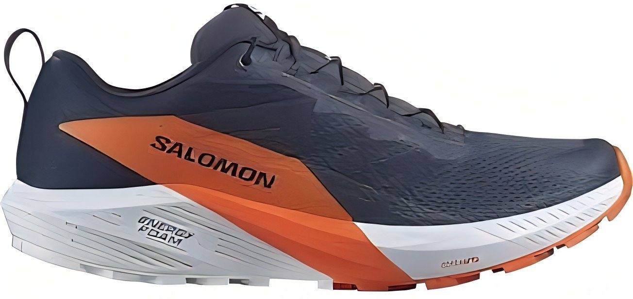 Salomon Sense Ride 5 GTX für Herren Laufschuh von Salomon