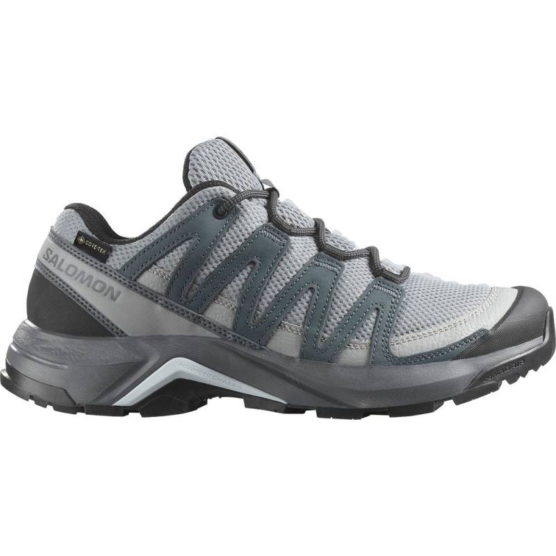 Salomon Shoes X-Adventure Recon GTX W Damen Wanderschuh monument turbulence ballad blue UK 4 von Salomon