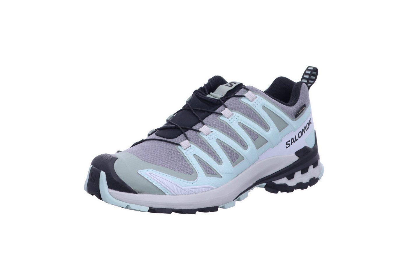Salomon XA PRO 3D V9 GTX W Laufschuh von Salomon