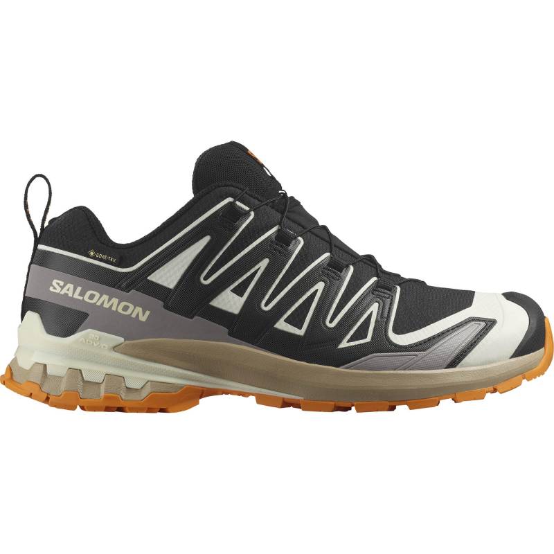 Salomon XA PRO 3D V9 Multifunktionsschuhe Herren von Salomon