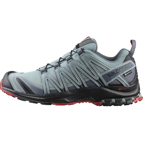 Salomon Xa Pro 3d Gore-tex, Traillaufschuhe Herren, Lead Black Barbados Cherry, 42 EU von Salomon