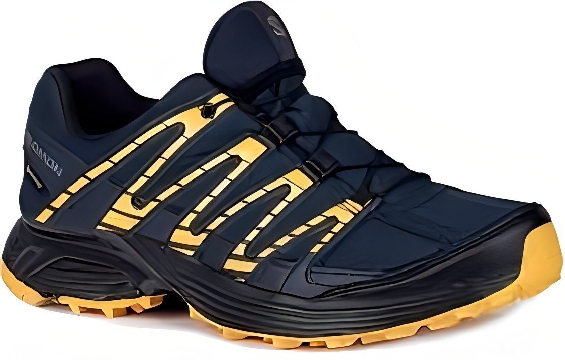 Salomon XT Backbone GTX für Herren Outdoorschuh von Salomon