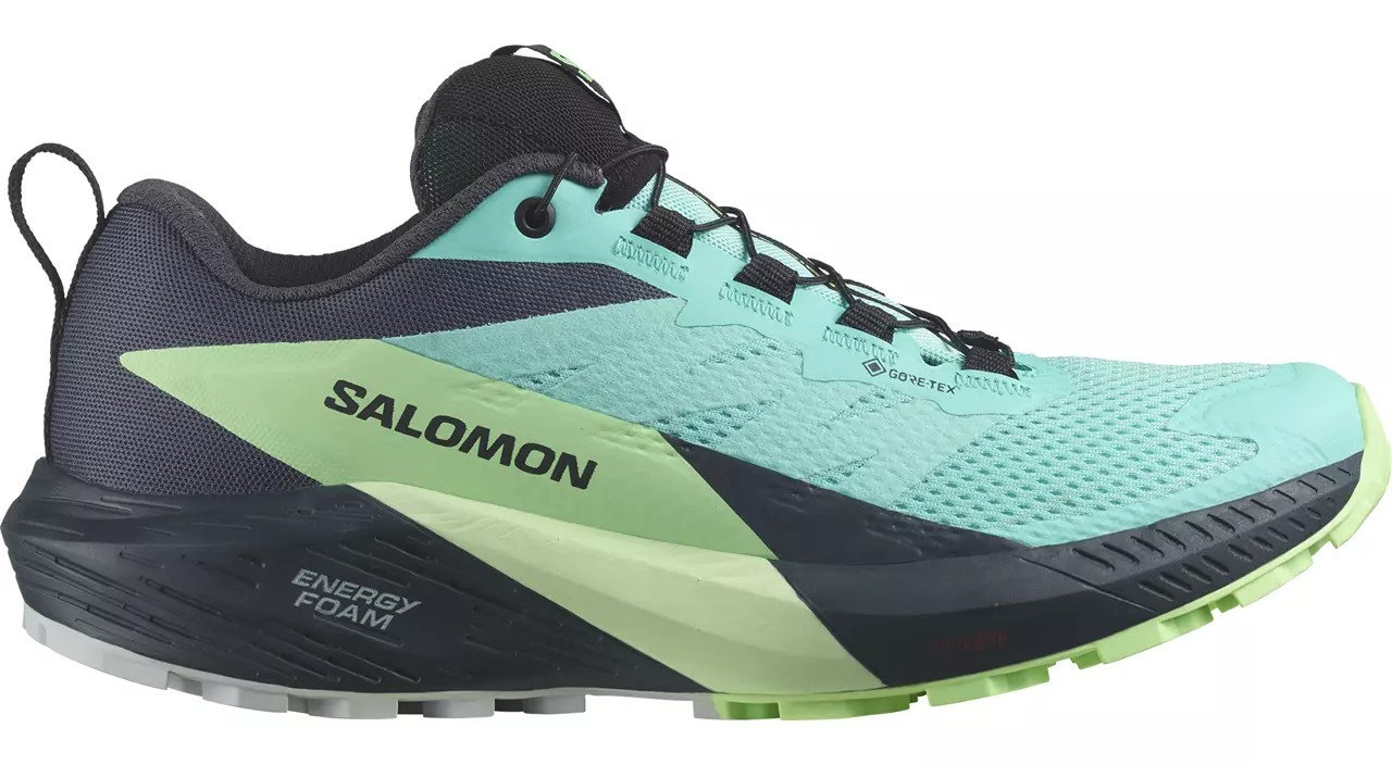 Sense Ride 5 GTX Women von Salomon