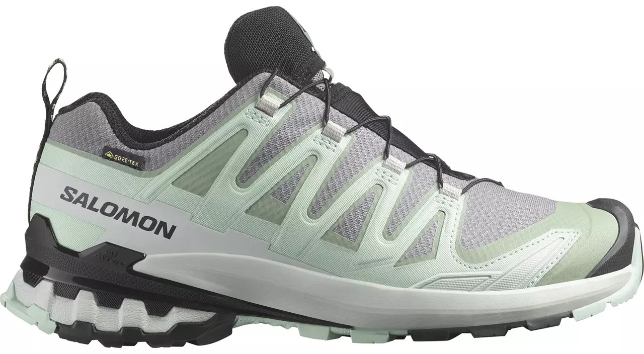 Xa Pro 3D V9 GTX Women von Salomon