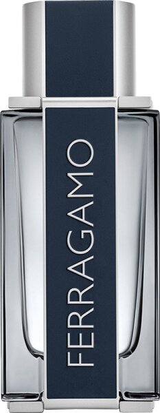 Salvatore Ferragamo FERRAGAMO Eau de Toilette (EdT) 100 ml von Salvatore Ferragamo