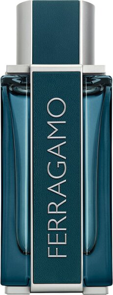 Salvatore Ferragamo FERRAGAMO Intense Leather Eau de Parfum (EdP) 100 ml von Salvatore Ferragamo