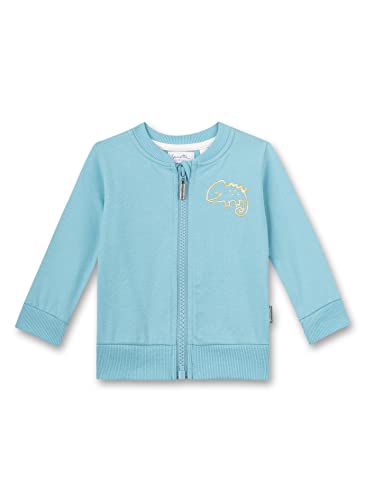 Sanetta Baby-Jungen 115724 Strickjacke, Lagune, 80 von Sanetta