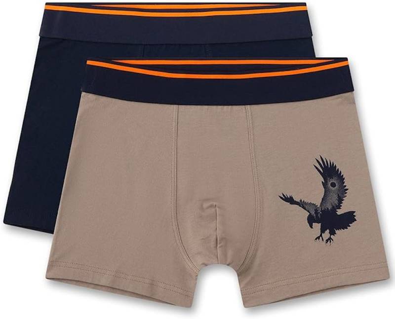 Sanetta Slip Sanetta Jungen 2er Pack Unterhosen Boxershorts Adler braun schwarz (Doppelpack, 1-St) von Sanetta