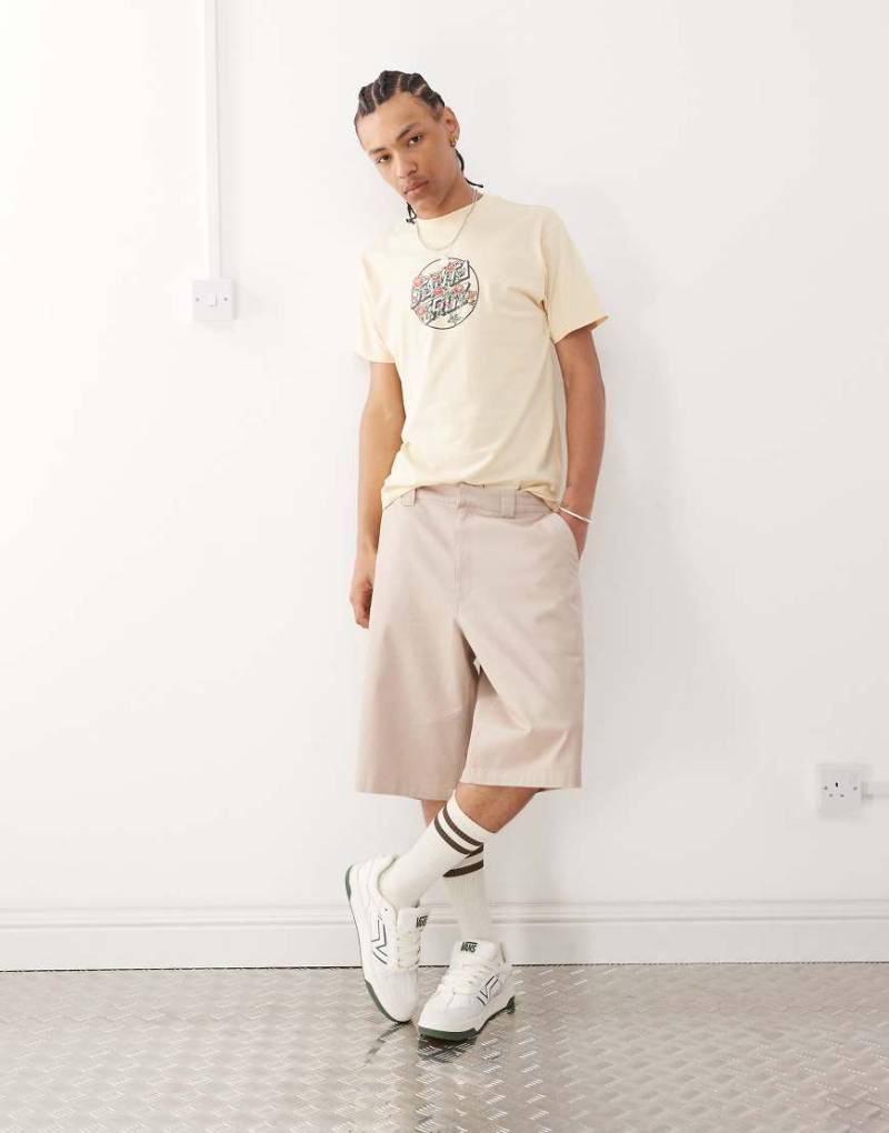 Santa Cruz - Dillon - Shorts in Beige-Neutral von Santa Cruz