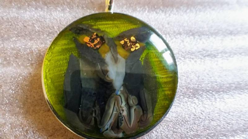 Eule Halskette Schmuck-Anhänger Handgefertigt Verschmolzen Glas Sun Catcher Eule Halskette Schmuck-Anhänger Handgefertigt Verschmolzen Glas Sun Catcher von SarahMillerGlass