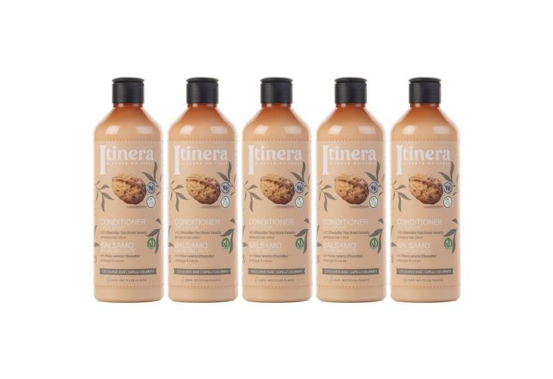 Sarcia.eu Haarspülung ITINERA Conditioner mit Walnuss, 96 % natürlich, 370 ml, 5-tlg. von Sarcia.eu