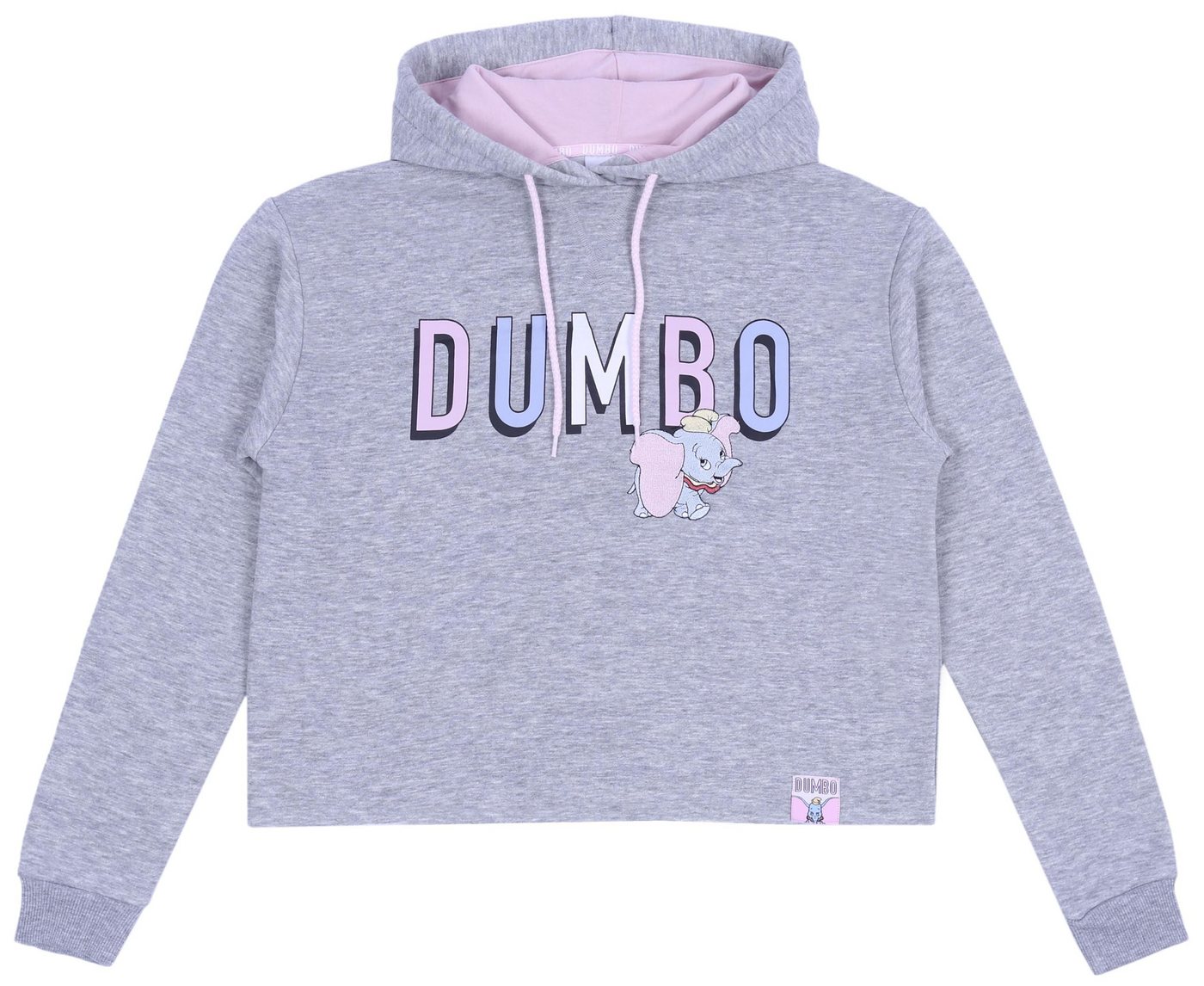 Sarcia.eu Kapuzensweatshirt Dumbo DISNEY graues Sweatshirt XS von Sarcia.eu