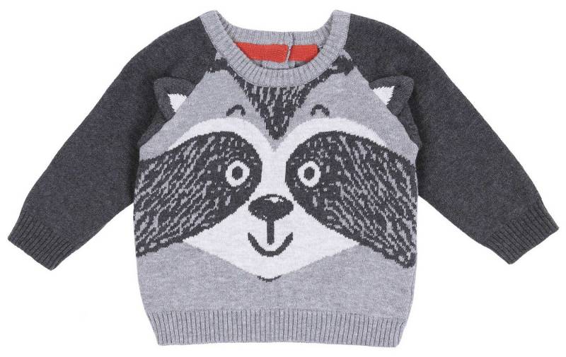 Sarcia.eu Longpullover Grauer Pullover - Waschbär 0-3 Monate von Sarcia.eu