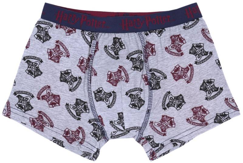 Sarcia.eu Pagenschlüpfer Graue Jungen-Boxershorts Hogwarts Harry Potter 9-10 Jahre von Sarcia.eu