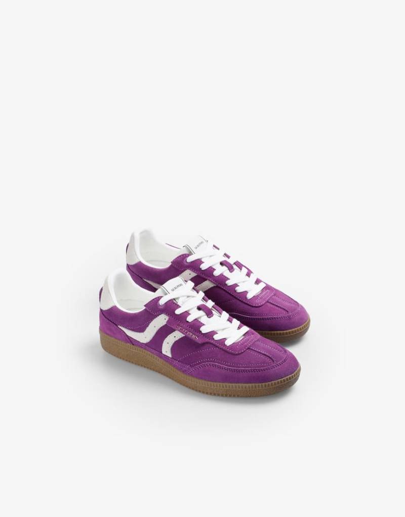 Scalpers - Numico - Sneaker in Lila von Scalpers