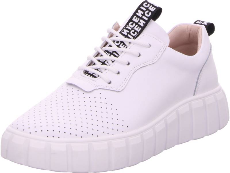 Scandi Schnürschuh echtes Leder Scandi Schnürschuh echtes Leder von Scandi