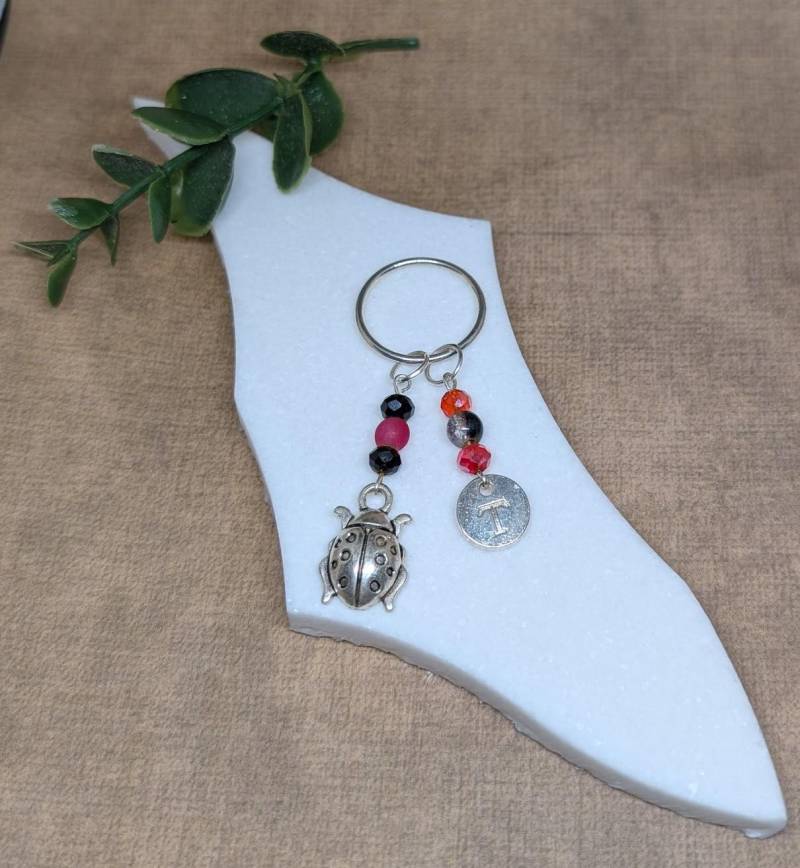 Niedlicher Marienkäfer-Schlüsselanhänger, Marienkäferinsektengeschenk, Tierliebhabergeschenk, Rot-Schwarzer Schlüsselanhänger, Personalisierter Niedlicher Marienkäfer-Schlüsselanhänger, Marienkäferinsektengeschenk, Tierliebhabergeschenk, Rot-Schwarzer Schlüsselanhänger, Personalisierter von ScatterlingDesigns