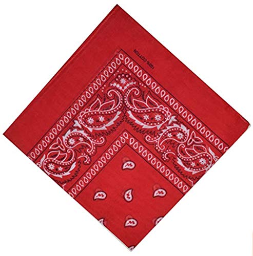 dko-24 Bandana Paisley Baumwolle Uni Tuch Halstuch Kopftuch Mundschutz Biker Motorrad Maske 2er bis 6er Set mit FREIER AUSWAHL DEUTSCHER HÄNDLER (Paisley Rot) von Schals & Tücher