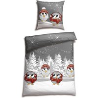 Bettwäsche 2-teilig Eulen mehrfarbig gemustert - Feinbiber 155*220 von Schiesser